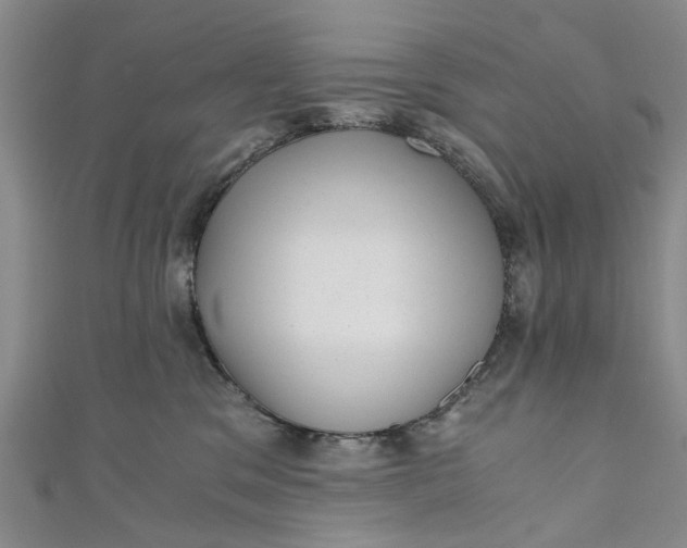 X0000110870329200907021442