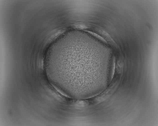 X0000110870330200907021442