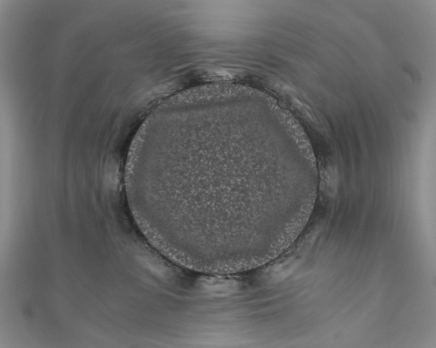 X0000110870331200907021442