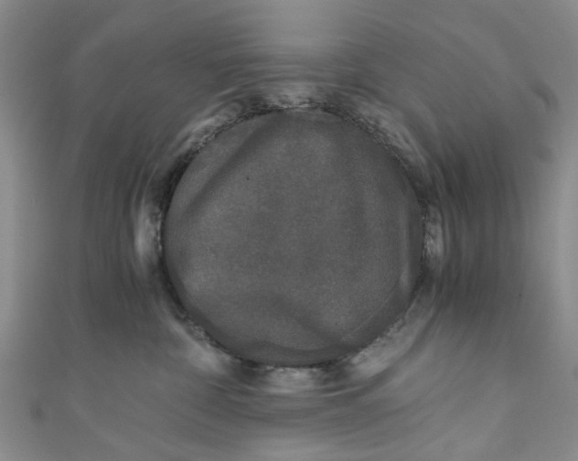 X0000110870332200907021442