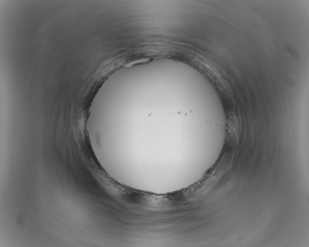 X0000110870333200907021442