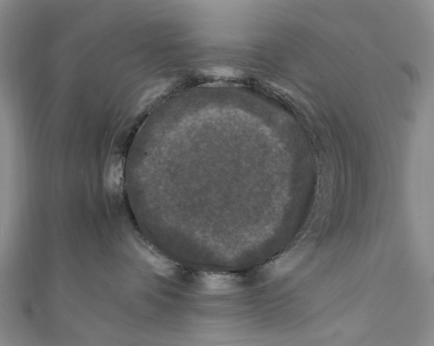 X0000110870336200907021441