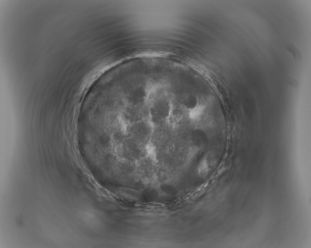 X0000110870337200907021441