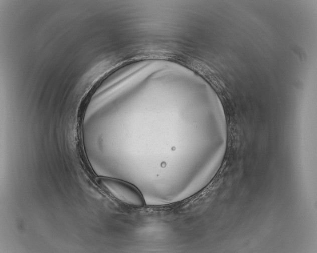 X0000110870338200907021441