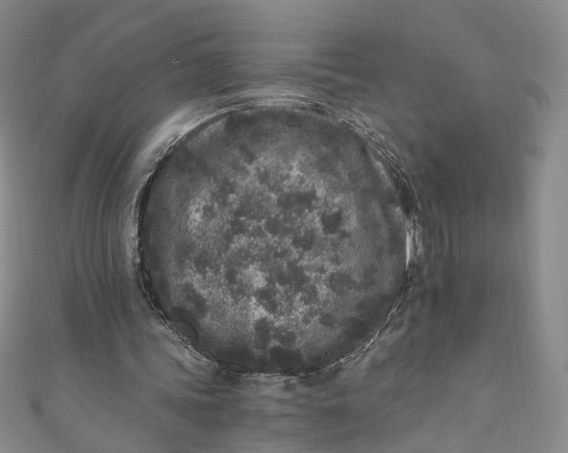 X0000110870339200907021441