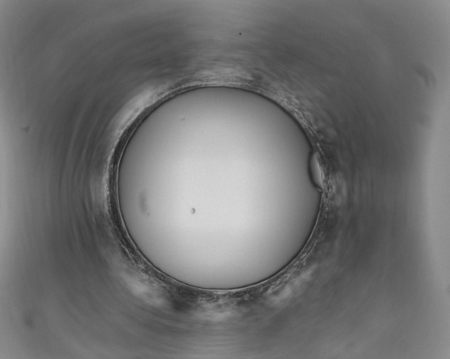 X0000110870340200907021441