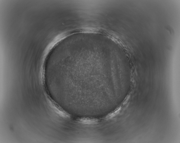 X0000110870343200907021441