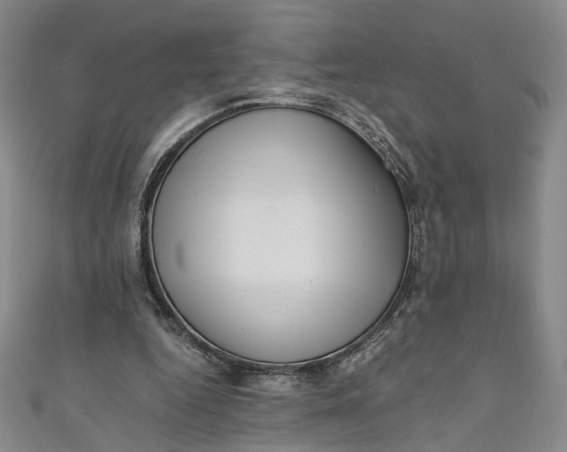 X0000110870344200907021441