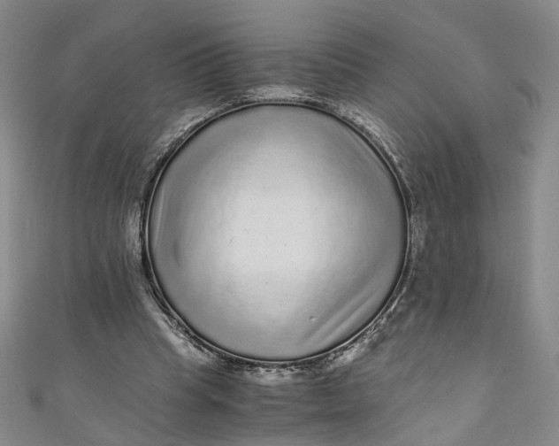 X0000110870345200907021441