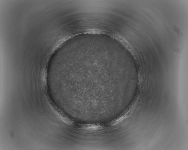 X0000110870347200907021441