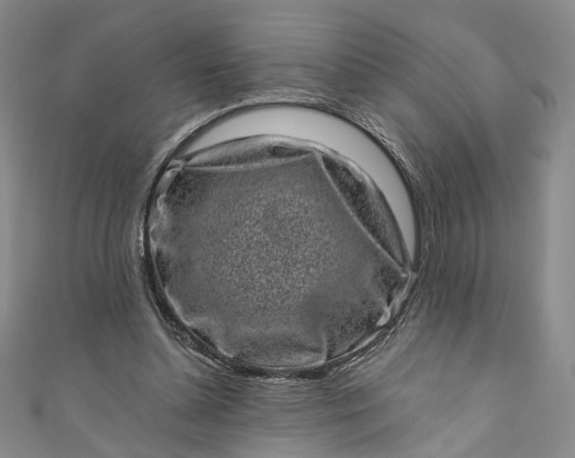 X0000110870348200907021441