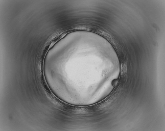 X0000110870349200907021441