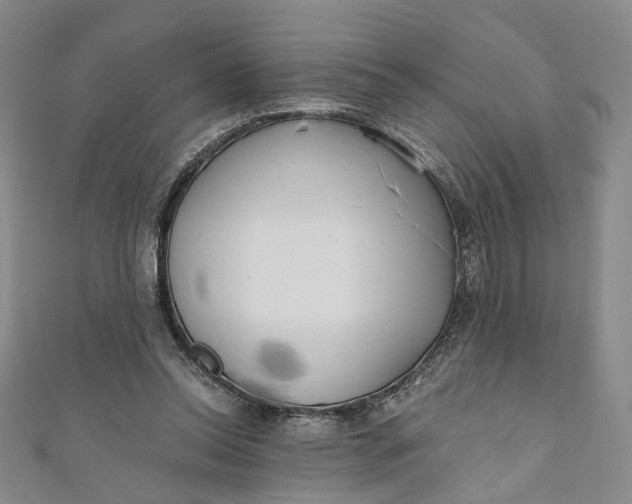 X0000110870350200907021441