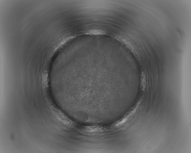 X0000110870351200907021441