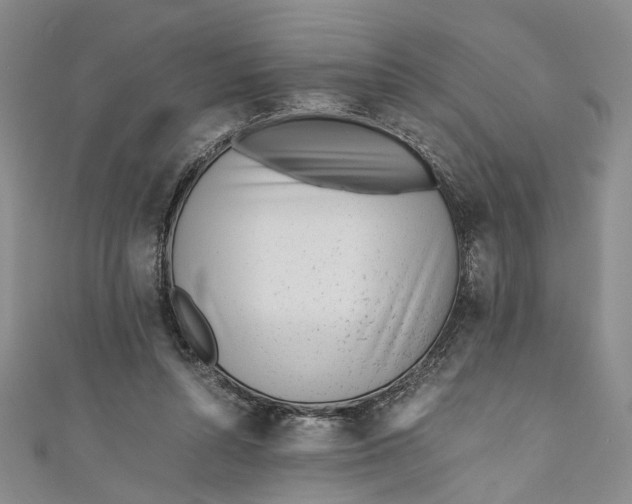 X0000110870352200907021441