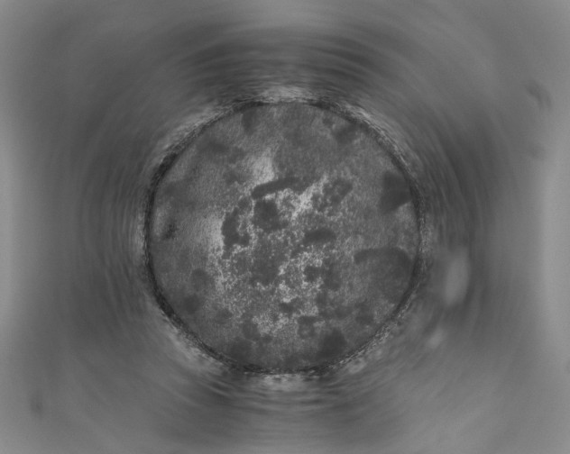 X0000110870353200907021441