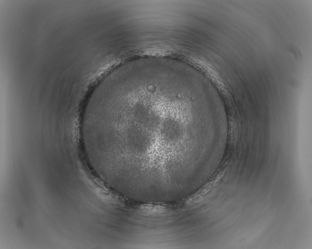 X0000110870354200907021441