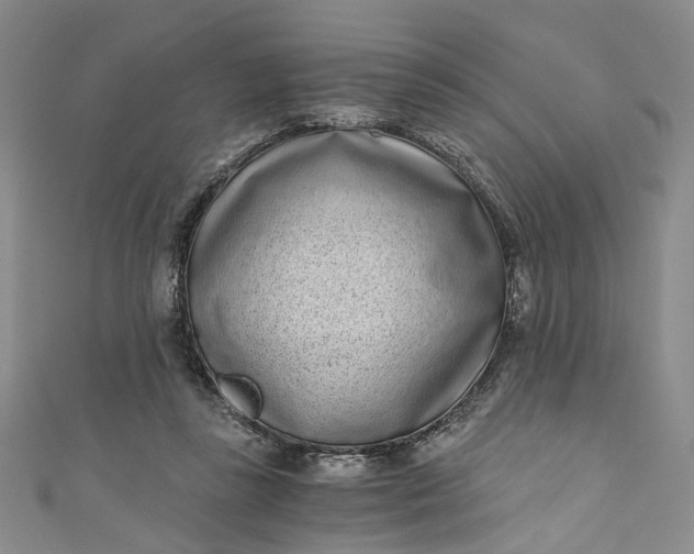 X0000110870355200907021441