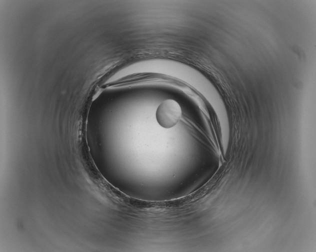 X0000110870356200907021441