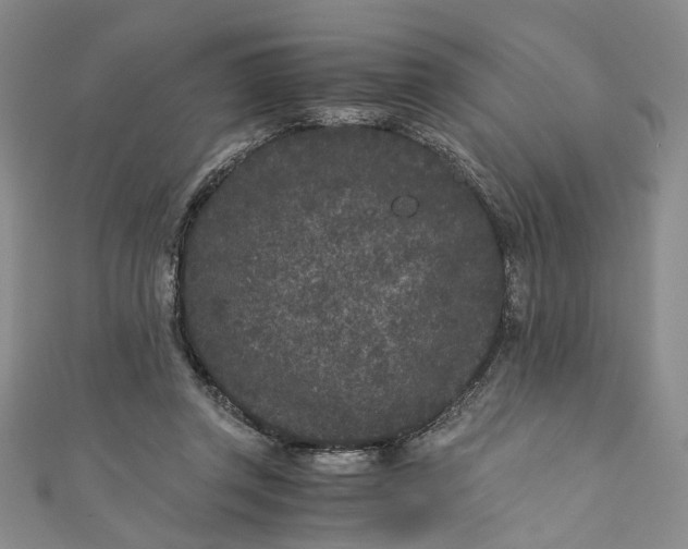 X0000110870357200907021441