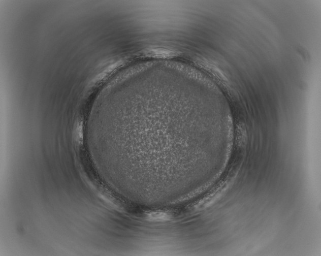 X0000110870358200907021441