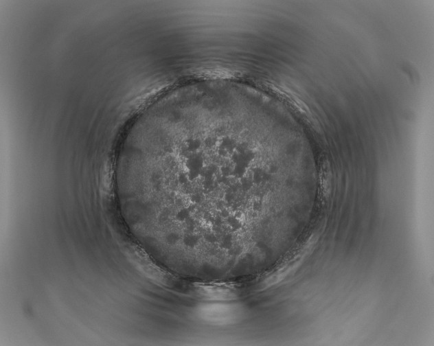 X0000110870359200907021441