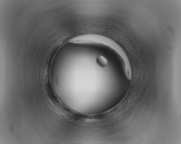 X0000110870360200907021441