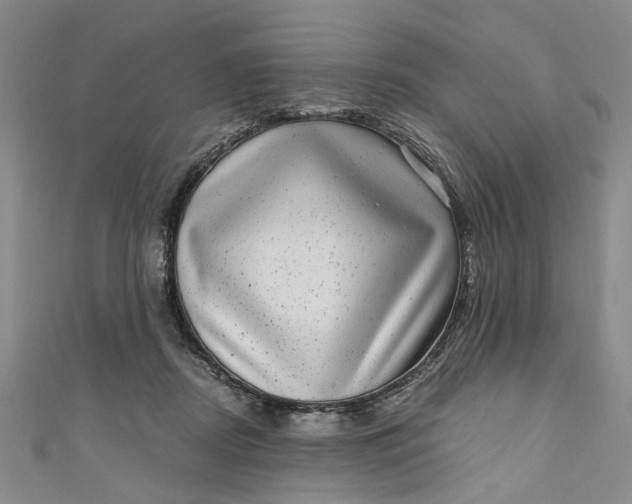 X0000110870362200907021441