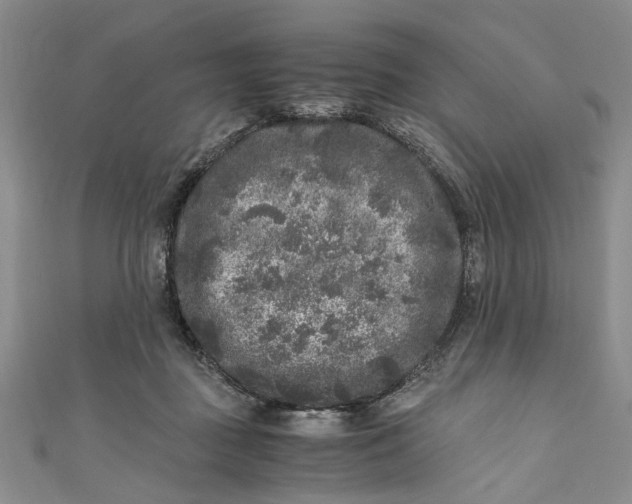 X0000110870363200907021441