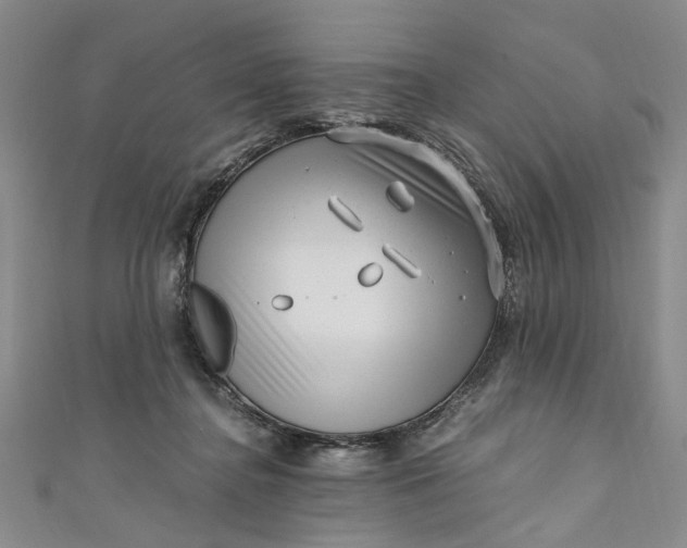 X0000110870364200907021441