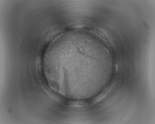 X0000110870366200907021441