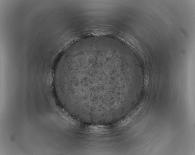 X0000110870367200907021441