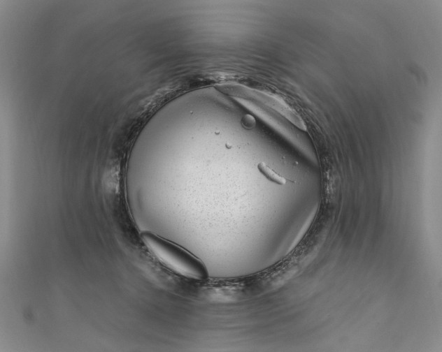 X0000110870368200907021441