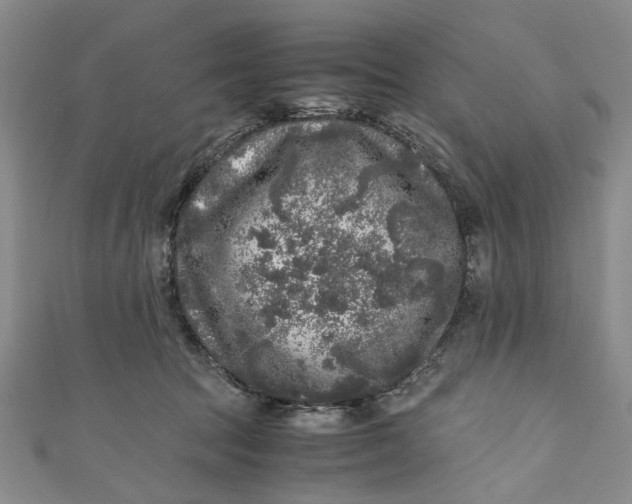 X0000110870369200907021441