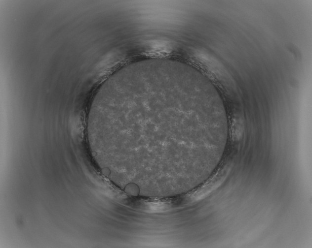 X0000110870370200907021441