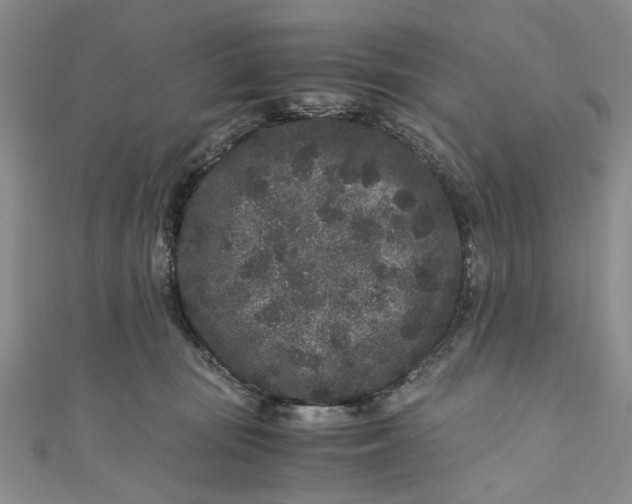 X0000110870371200907021441