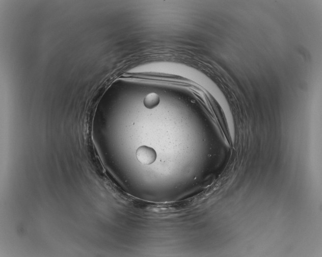 X0000110870372200907021441