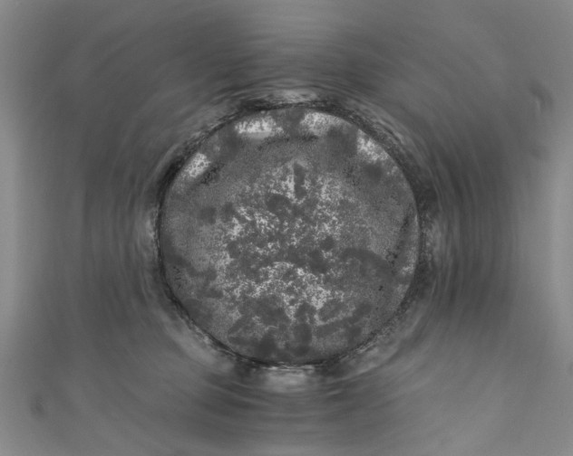 X0000110870373200907021441