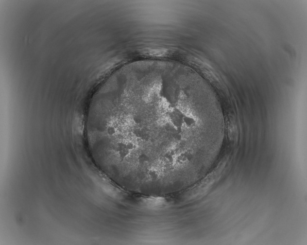 X0000110870374200907021441