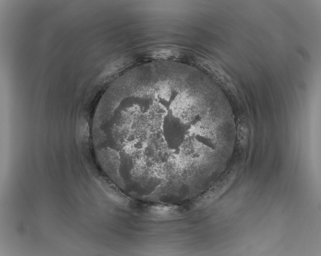 X0000110870375200907021441