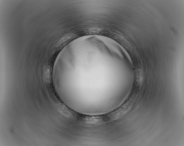 X0000110870378200907021441