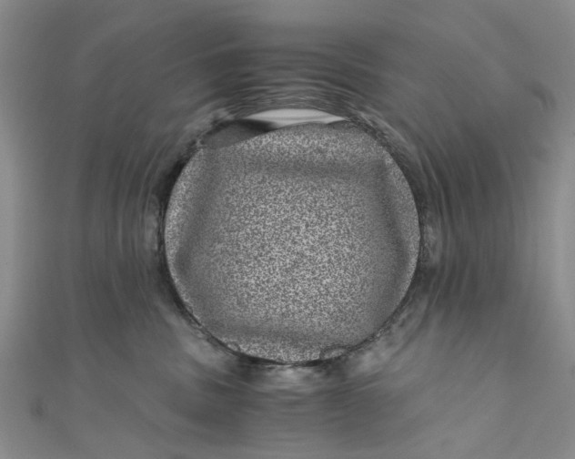 X0000110870379200907021441