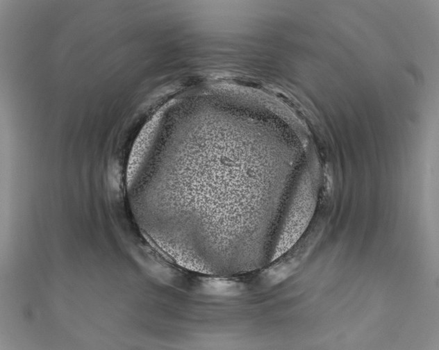 X0000110870380200907021441