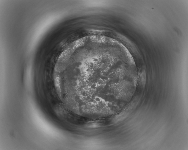 X0000110870381200907021441