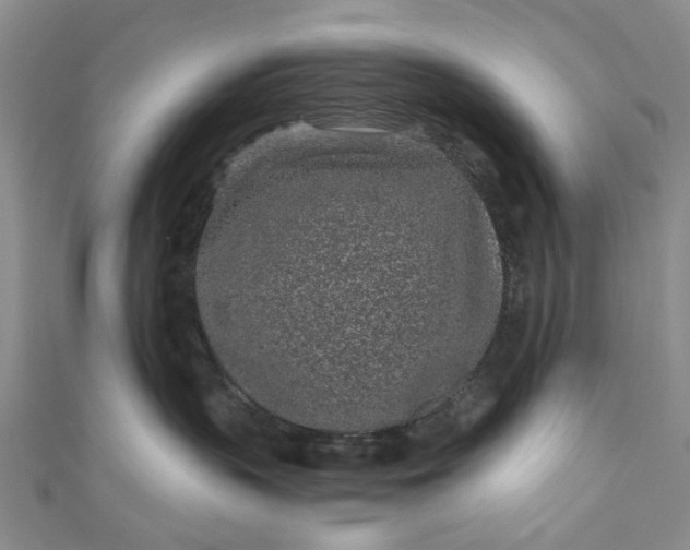 X0000110870383200907021441