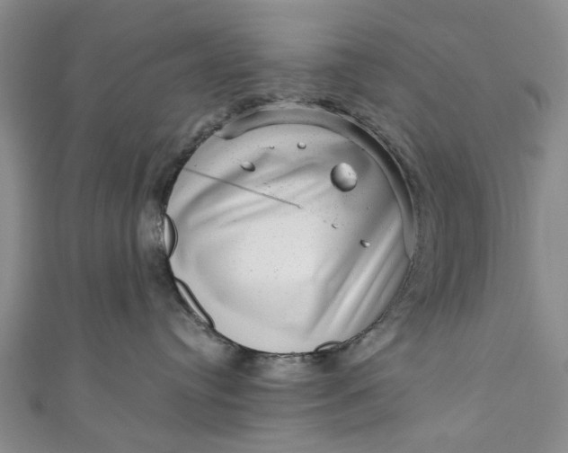 X0000110870384200907021441