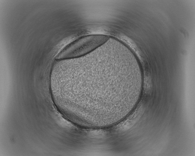 X0000110870385200907021441