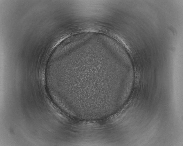 X0000110870386200907021441