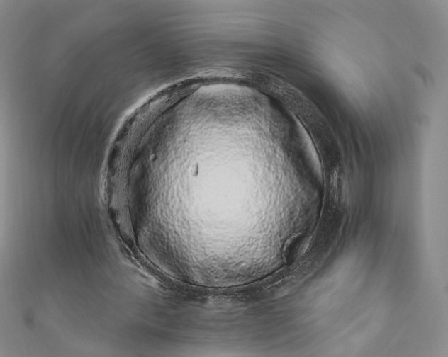 X0000110870388200907021441