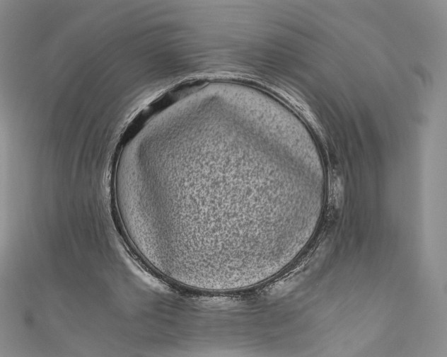 X0000110870389200907021441